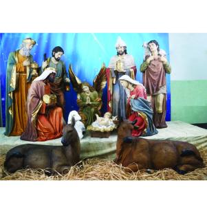 150 cm-es 11 db-os Betlehemi kollekció /15679